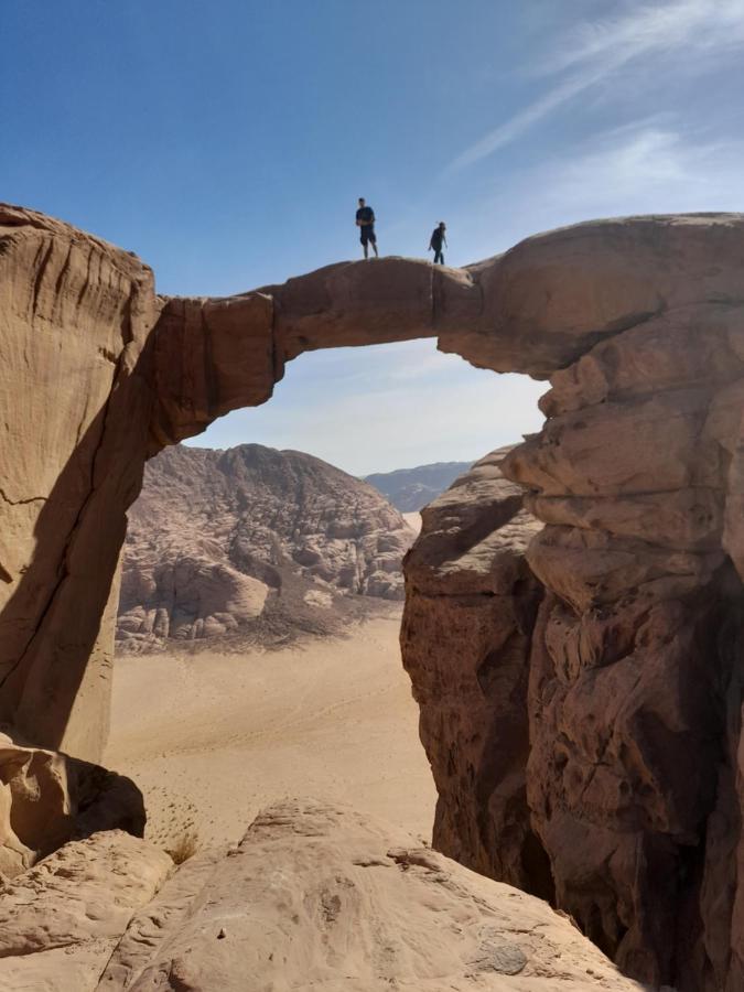 Wadi Rum camels camp Bagian luar foto