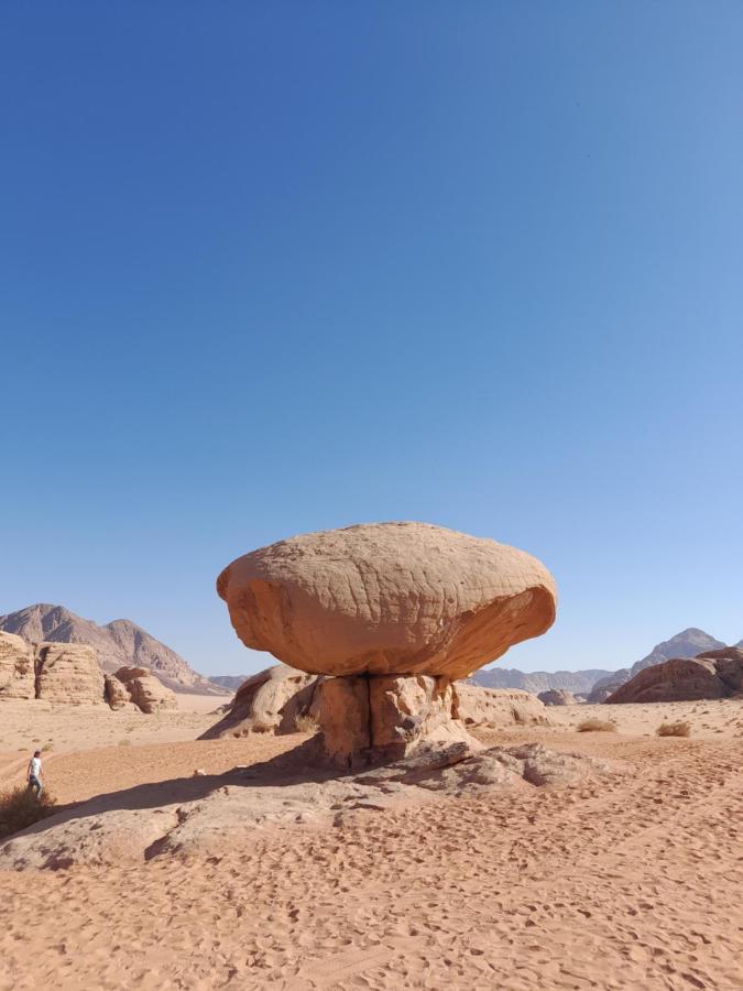 Wadi Rum camels camp Bagian luar foto
