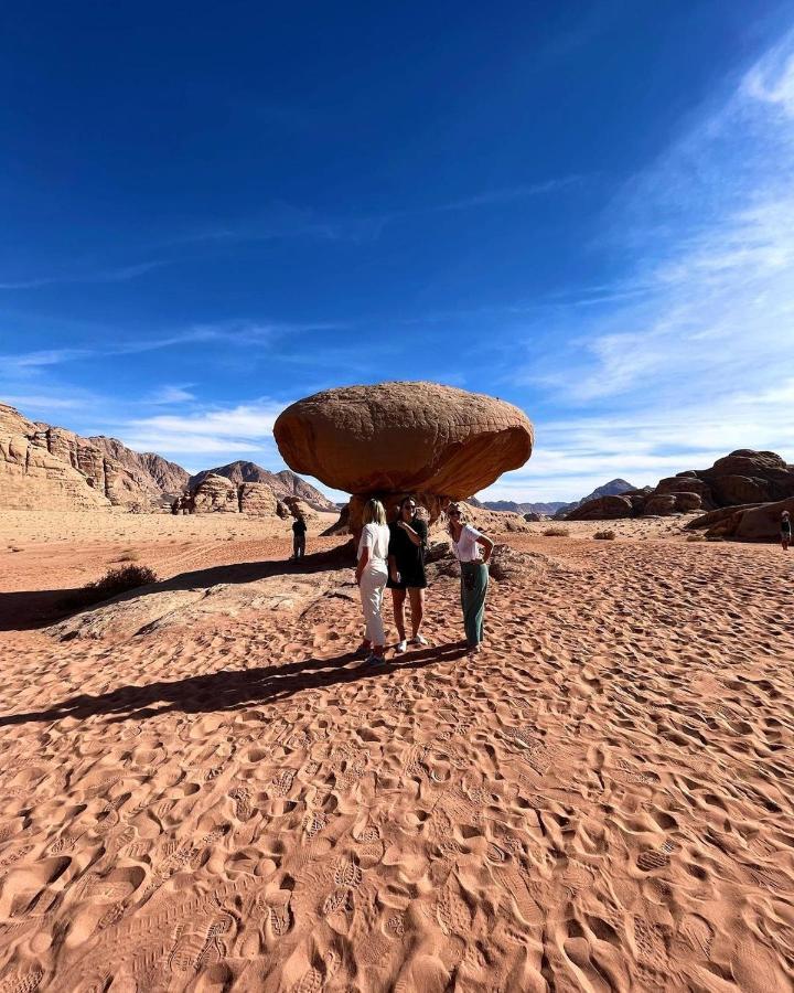 Wadi Rum camels camp Bagian luar foto